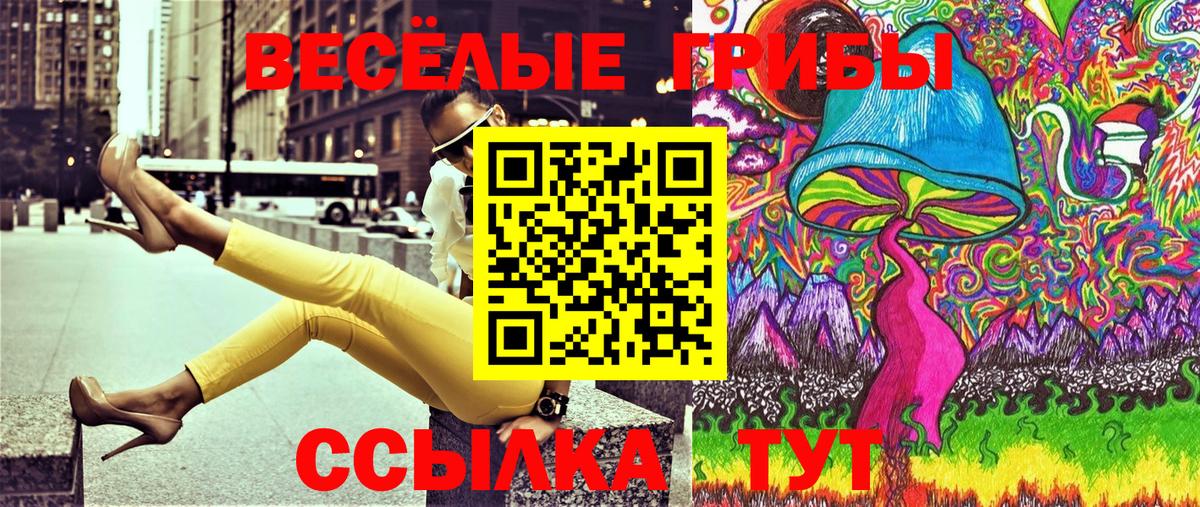 Галлюциногенные грибы GOLDEN TEACHER Дятьково