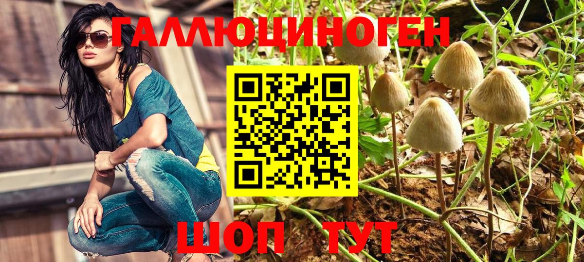 Дятьково  купить  сайты  Вход с VPN  Галлюциногенные грибы прущие грибы 